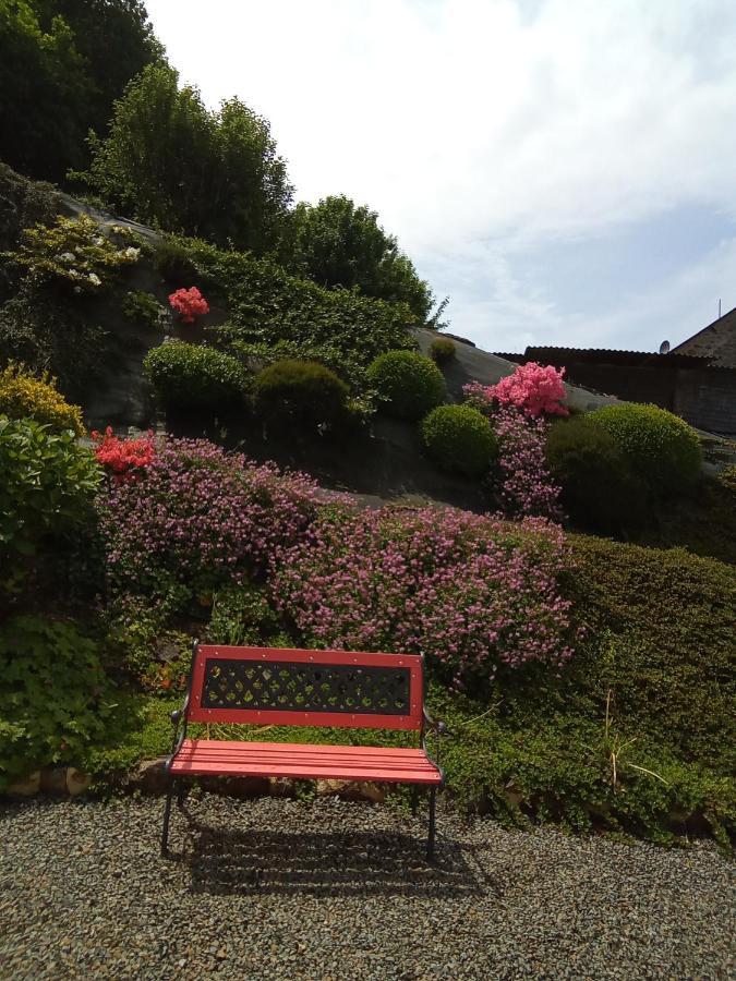 Les Hortensias La Poultiere Zewnętrze zdjęcie